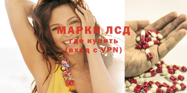 шишки Краснотурьинск