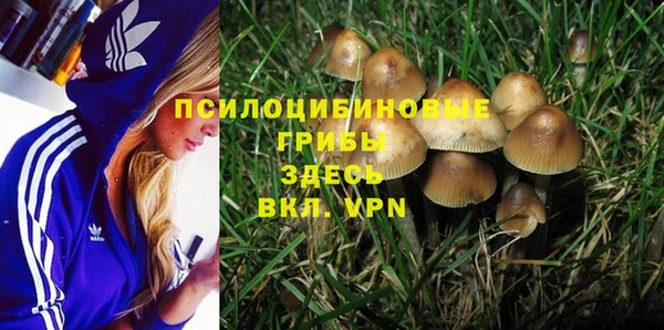 гидра Ладушкин