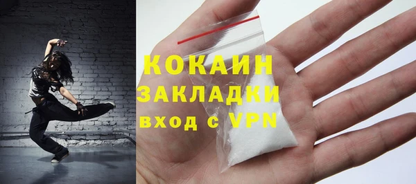 шишки Костерёво
