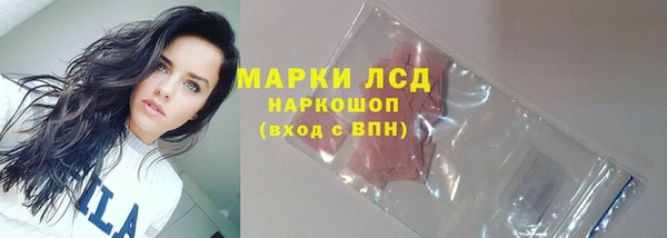 шишки Краснотурьинск