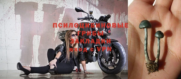 mdpv Куйбышев