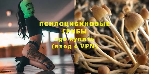 бошки Краснослободск
