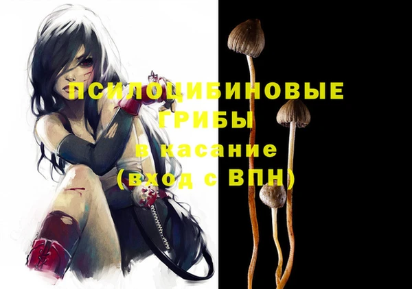 шишки Краснотурьинск