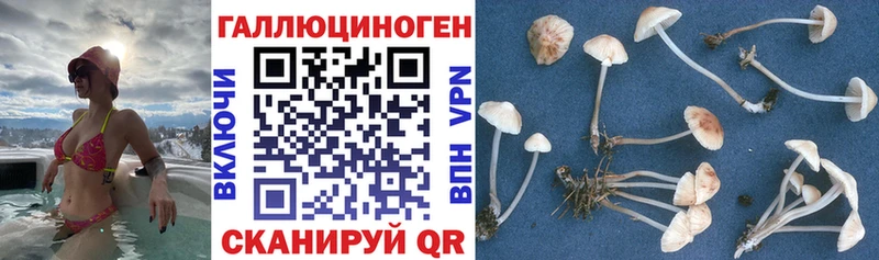 Галлюциногенные грибы мухоморы  блэк спрут ссылка  Спас-Клепики 