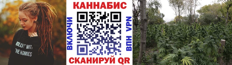 где купить наркоту  Спас-Клепики  Каннабис планчик 